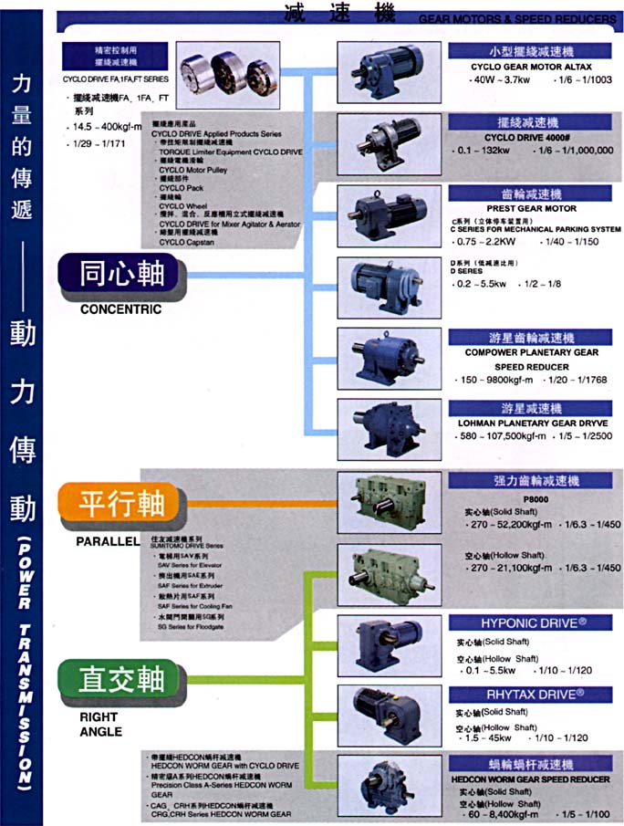 cat06a.jpg (132945 bytes)